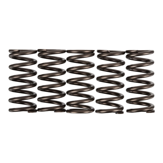 Premier Clutch Springs - Heavy Duty