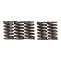 Premier Clutch Springs - Heavy Duty