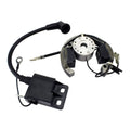 Stator + Rotor + Ignition Coil Kit (RMS900-107608)
