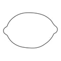 Outer Clutch Gasket Kit 817826