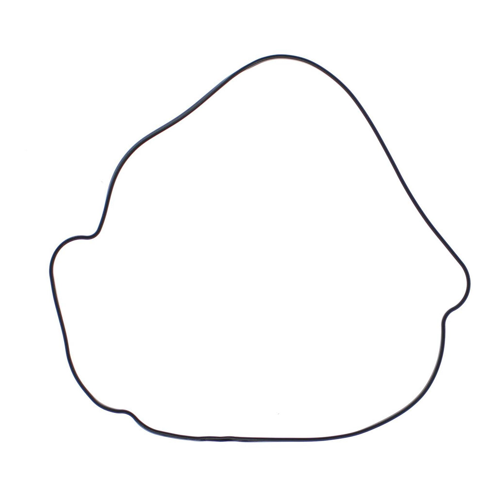 Outer Clutch Gasket Kit 817987