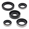 Oil Seal Kit 822216