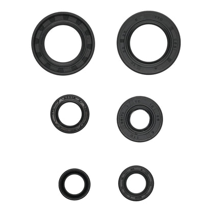 Oil Seal Kit 822391