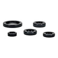 OIL SEAL KIT 822994