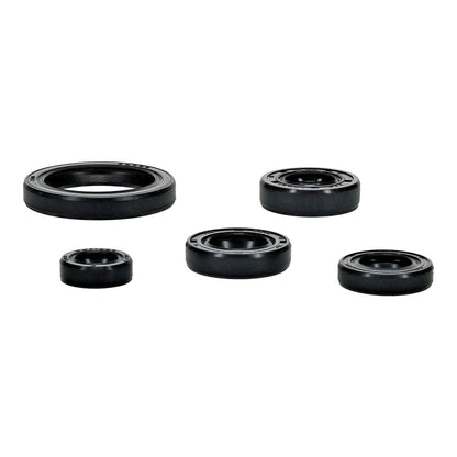 OIL SEAL KIT 822994