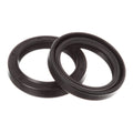 Whites Fork Seal Pair - 37 x 48 x 10.5/11 TC4Y (007) 33-129-62