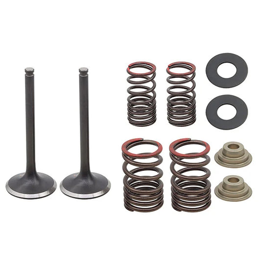 EXHAUST VALVE KIT PSYCHIC MX INCLUDES 2 VALVES, 2 SPRINGS, RETAINERS & SEATS