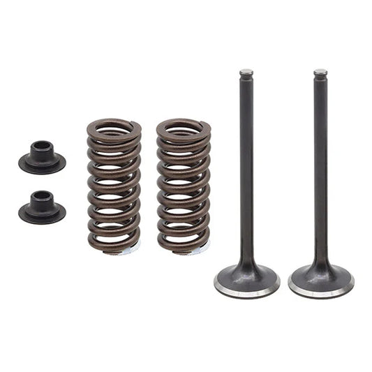 EXHAUST VALVE KIT PSYCHIC MX INCLUDES 2 VALVES, 2 SPRINGS, RETAINERS & SEATS