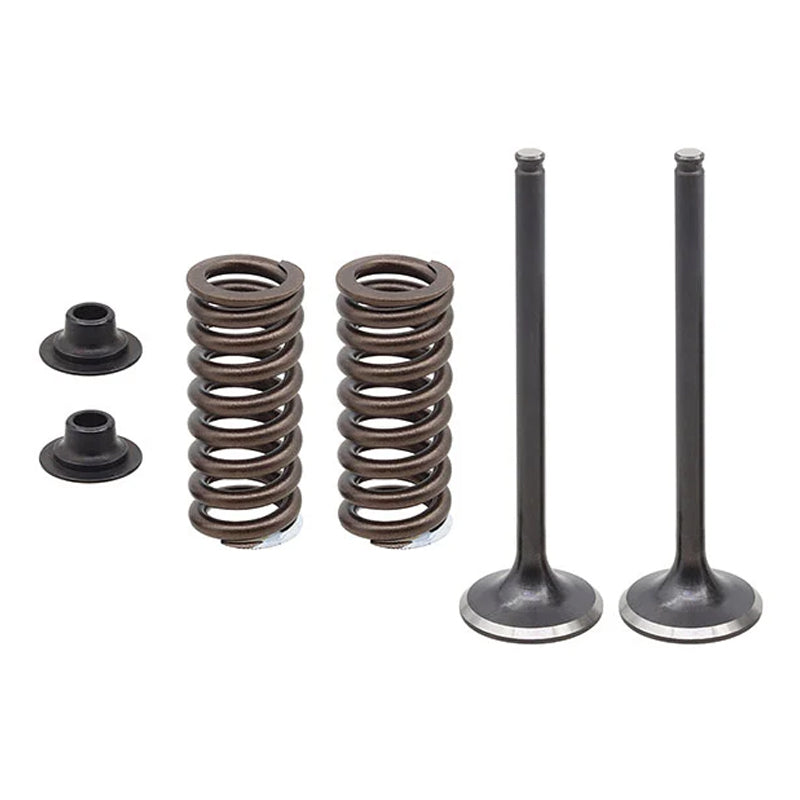 EXHAUST VALVE KIT PSYCHIC MX INCLUDES 2 VALVES, 2 SPRINGS, RETAINERS & SEATS