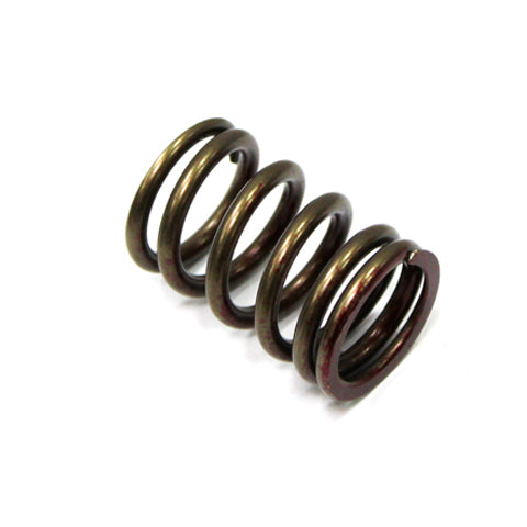 EXHAUST VALVE SPRING PSYCHIC HEAVY DUTY