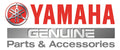 Case Air Cleaner 2