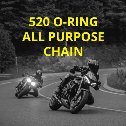 520-ORING_2