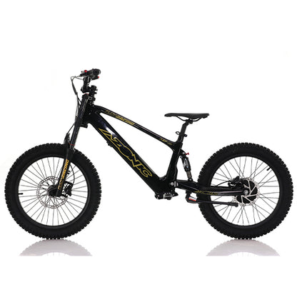 AZONIC Flow 20 (AZF-20) - Electric Balance Bike