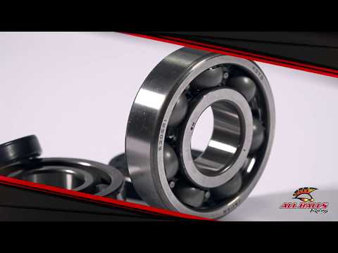 All Balls Racing Crankshaft Bearing Kit (24-1006)