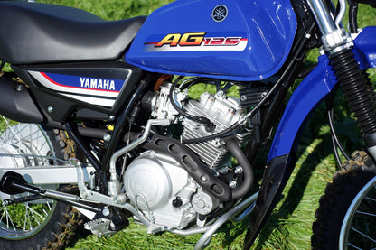 2025 Yamaha AG125
