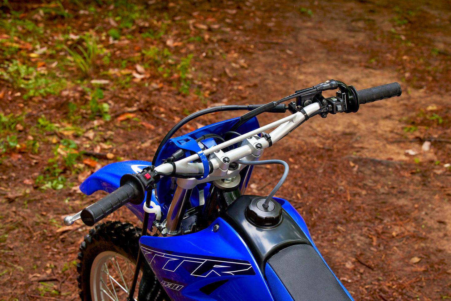 2023 Yamaha TTR230